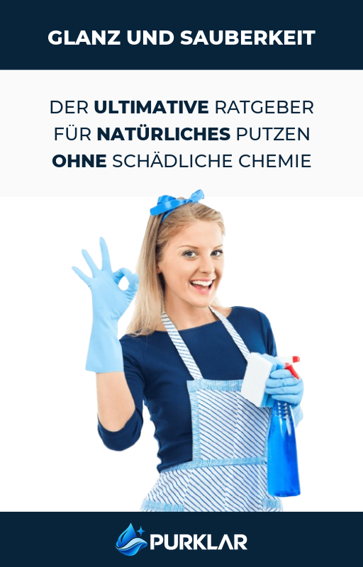 Ratgeber: natürlich putzen zu Hause (E-Book)
